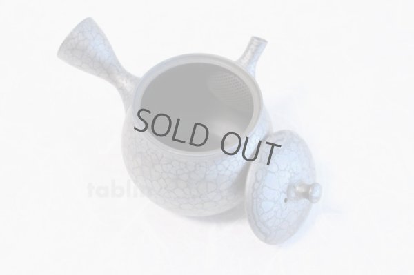 Photo5: Tokoname yaki ware Japanese tea pot Shoryu Tenmokuk ceramic tea strainer 200ml