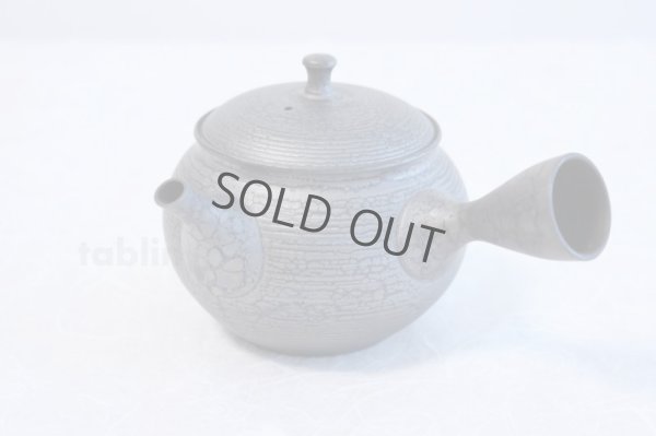 Photo3: Tokoname ware Japanese tea pot kyusu ceramic strainer YT Shoryu tenmoku 390ml