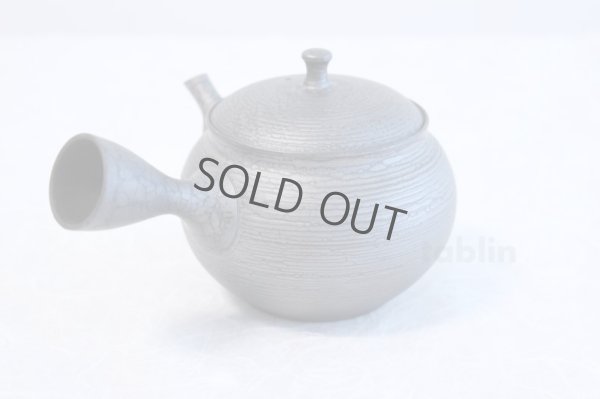 Photo2: Tokoname ware Japanese tea pot kyusu ceramic strainer YT Shoryu tenmoku 390ml