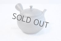 Tokoname ware Japanese tea pot kyusu ceramic strainer YT Shoryu tenmoku 390ml