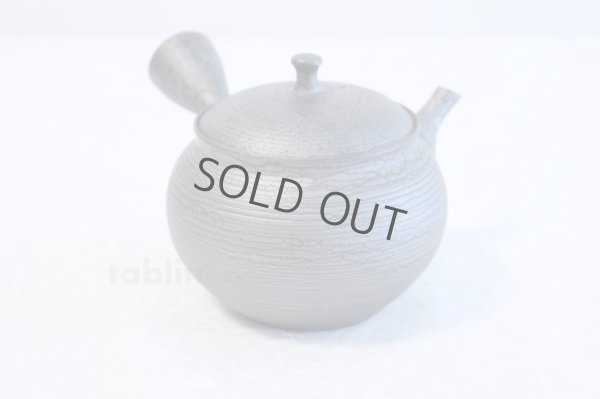 Photo1: Tokoname ware Japanese tea pot kyusu ceramic strainer YT Shoryu tenmoku 390ml