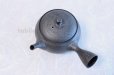 Photo4: Tokoname ware Japanese tea pot kyusu ceramic strainer YT Shoryu tenmoku 390ml (4)