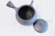 Photo5: Tokoname ware Japanese tea pot kyusu ceramic strainer YT Shoryu tenmoku 390ml (5)