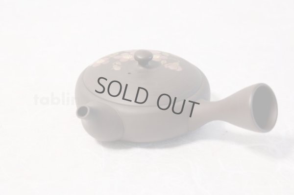 Photo8: Tokoname ware Japanese tea pot Gyokko ceramic tea strainer red flower flat 140ml