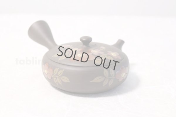Photo5: Tokoname ware Japanese tea pot Gyokko ceramic tea strainer red flower flat 140ml