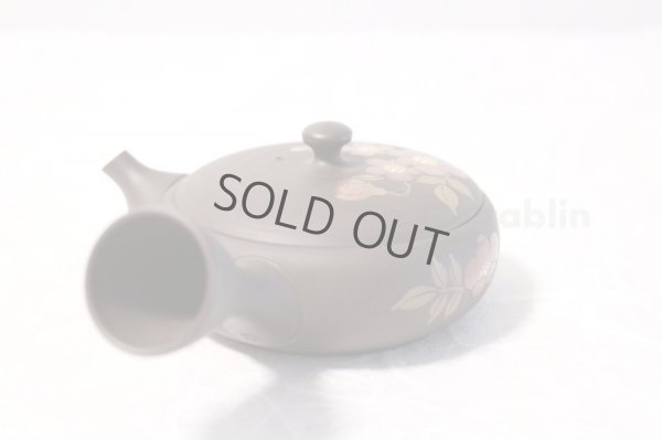 Photo6: Tokoname ware Japanese tea pot Gyokko ceramic tea strainer red flower flat 140ml