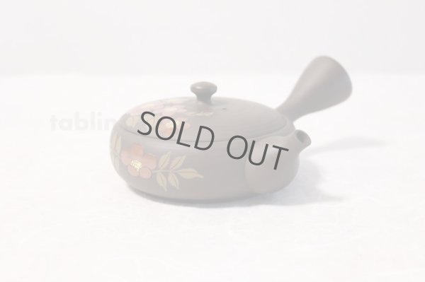 Photo9: Tokoname ware Japanese tea pot Gyokko ceramic tea strainer red flower flat 140ml