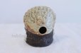 Photo3: Shigaraki pottery Japanese Tanuki Raccoon Dog Koge Fuku H21cm (3)