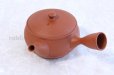 Photo1: Tokoname YT ware Japanese tea pot Gyokko ceramic tea strainer red syudei 300ml (1)