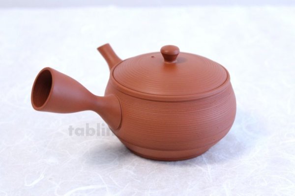 Photo3: Tokoname YT ware Japanese tea pot Gyokko ceramic tea strainer red syudei 300ml