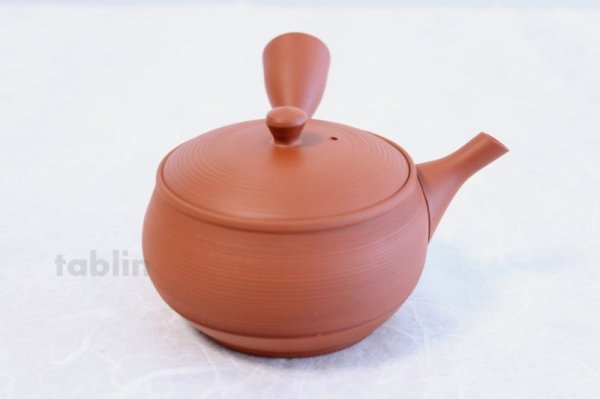 Photo4: Tokoname YT ware Japanese tea pot Gyokko ceramic tea strainer red syudei 300ml