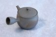 Photo4: Tokoname ware Japanese tea pot Gyokko ceramic tea strainer yakishime ko ma 250ml (4)
