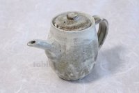 Shigaraki Japanese tea pot hai yu pottery tea strainer 550ml