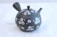Photo1: Tokoname ware Japanese tea pot kyusu ceramic strainer YT Hokuryu plum k 350ml (1)