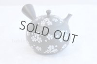 Tokoname ware Japanese tea pot kyusu ceramic strainer YT Hokuryu plum k 350ml