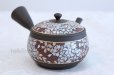 Photo1: Tokoname Kutani collaborate Japanese tea pot ceramic tea strainer sakura 270ml (1)