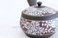 Photo5: Tokoname Kutani collaborate Japanese tea pot ceramic tea strainer sakura 270ml (5)