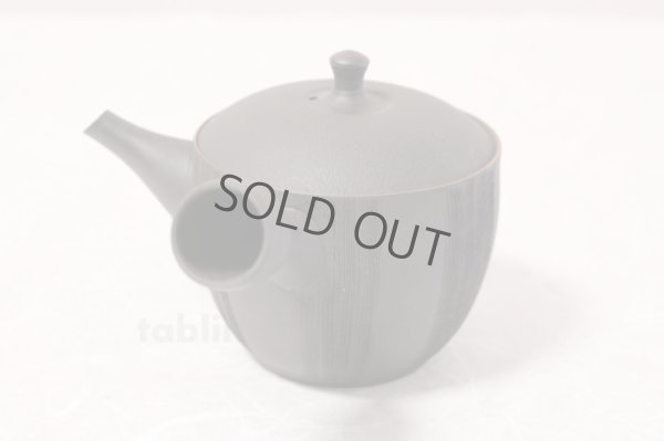 Photo2: Tokoname ware Japanese tea pot kyusu ceramic strainer YT Sekiryu notafushi 300ml