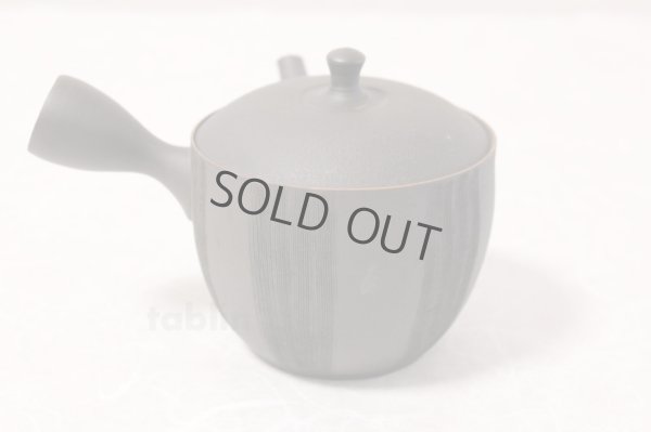 Photo3: Tokoname ware Japanese tea pot kyusu ceramic strainer YT Sekiryu notafushi 300ml