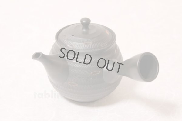 Photo2: Tokoname ware Japanese tea pot kyusu ceramic strainer YT Hokuryu sendan 340ml