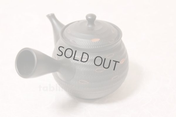 Photo3: Tokoname ware Japanese tea pot kyusu ceramic strainer YT Hokuryu sendan 340ml