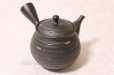 Photo1: Tokoname ware Japanese tea pot kyusu ceramic strainer YT Hokuryu sendan 340ml (1)
