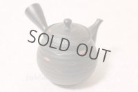 Tokoname ware Japanese tea pot kyusu ceramic strainer YT Hokuryu sendan 340ml