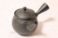 Photo4: Tokoname ware Japanese tea pot kyusu ceramic strainer YT Hokuryu sendan 340ml (4)