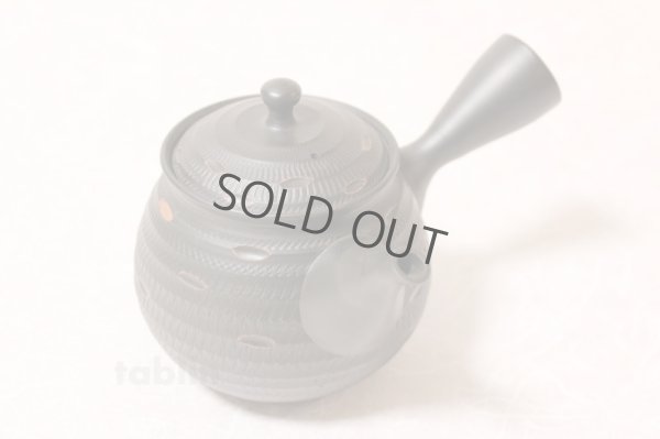 Photo4: Tokoname ware Japanese tea pot kyusu ceramic strainer YT Hokuryu sendan 340ml