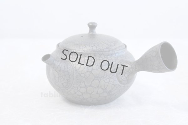 Photo2: Tokoname ware Japanese tea pot kyusu ceramic strainer YT Shoryu tenmoku 310ml