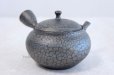 Photo4: Tokoname ware Japanese tea pot kyusu ceramic strainer YT Shoryu tenmoku 310ml (4)