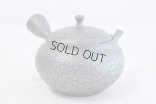 Photo4: Tokoname ware Japanese tea pot kyusu ceramic strainer YT Shoryu tenmoku 310ml