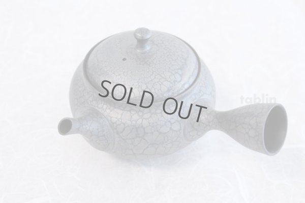 Photo5: Tokoname ware Japanese tea pot kyusu ceramic strainer YT Shoryu tenmoku 310ml