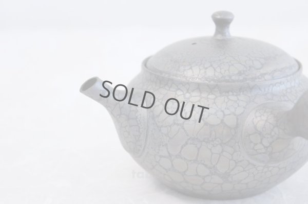 Photo1: Tokoname ware Japanese tea pot kyusu ceramic strainer YT Shoryu tenmoku 310ml