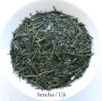 Photo1: Obara Sencha High class Japanese green tea in Uji Kyoto 90g (1)