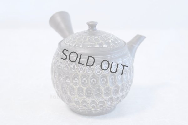 Photo4: Tokoname ware Japanese tea pot kyusu ceramic strainer YT Kenji amime miga 380ml