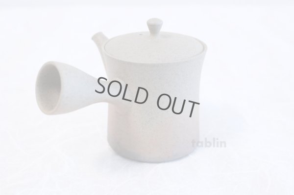 Photo4: Tokoname ware Japanese tea pot Gyokko ceramic tea strainer yakishime st 230ml
