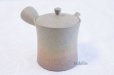 Photo5: Tokoname ware Japanese tea pot Gyokko ceramic tea strainer yakishime st 230ml