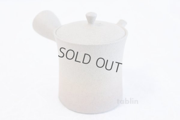 Photo5: Tokoname ware Japanese tea pot Gyokko ceramic tea strainer yakishime st 230ml