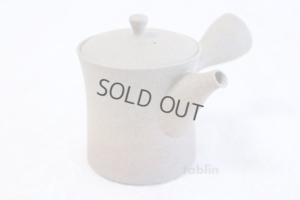 Photo6: Tokoname ware Japanese tea pot Gyokko ceramic tea strainer yakishime st 230ml