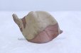 Photo1: Shigaraki pottery Japanese small vase leaf H 75mm (1)