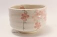 Photo3: Tokoname ware tea bowl Shidare Sakura chawan Matcha Green Tea Japanese (3)