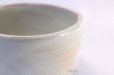 Photo4: Mino yaki ware Japanese tea bowl Gohonte haku chawan Matcha Green Tea (4)