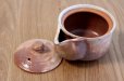 Photo4: Hagi yaki ware Japanese tea pot Ayatuti sen kyusu pottery tea strainer 200ml (4)