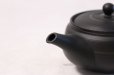 Photo4: Tokoname yaki ware Japanese tea pot Tosei maru ceramic tea strainer 210ml (4)