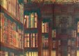 Photo3: Noren Japanese Curtain Doorway NM SD tapestry library 85 x 150 cm 