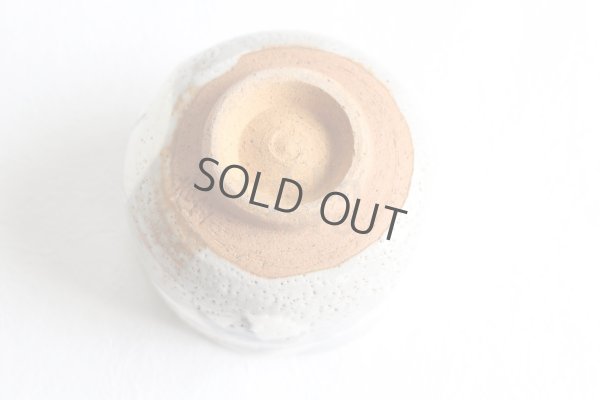 Photo3: Mino ware Japanese pottery matcha chawan tea bowl toga haikaburi sakura shino