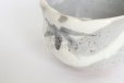 Photo9: Mino ware Japanese pottery matcha chawan tea bowl toga haikaburi sakura shino