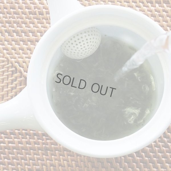 Photo7: Arita porcelain kyusu Japanese tea pot retoro polka dots 320ml