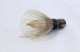 Photo4: Japanese Chasen Black Bamboo Whisk Shitiku Shin Yasaburo Tanimura of Suikaen (4)